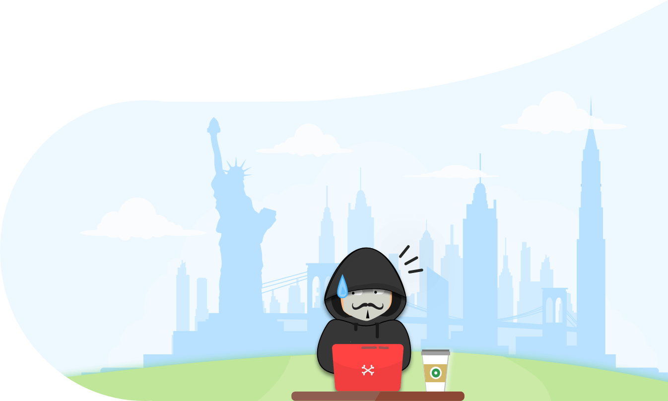 VPNCity Ninja securing internet connection image